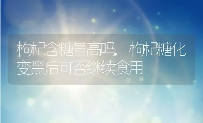 枸杞含糖量高吗,枸杞糖化变黑后可否继续食用 | 养殖常见问题