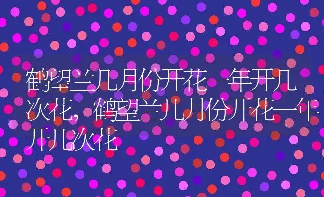 鹤望兰几月份开花一年开几次花,鹤望兰几月份开花一年开几次花 | 养殖常见问题
