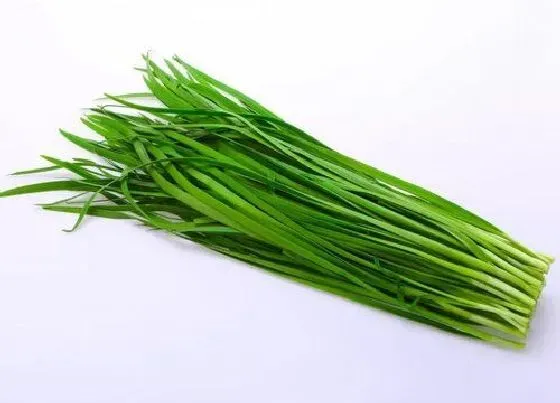 植物常识问题|粗纤维的蔬菜和水果有哪些 高纤维的蔬菜水果食物