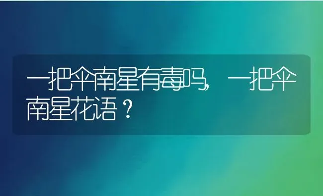 一把伞南星有毒吗,一把伞南星花语？ | 养殖常见问题