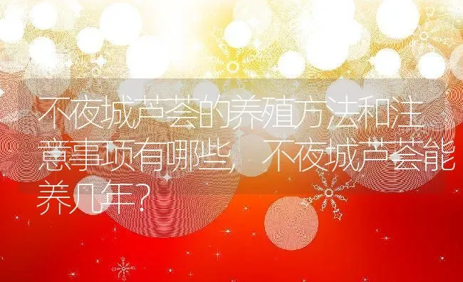 不夜城芦荟的养殖方法和注意事项有哪些,不夜城芦荟能养几年？ | 养殖常见问题