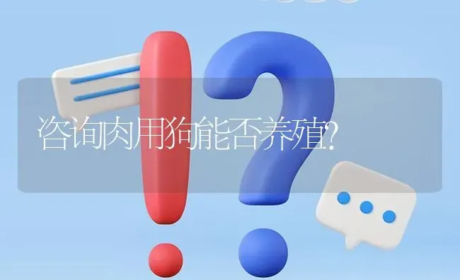 咨询肉用狗能否养殖? | 养殖问题解答