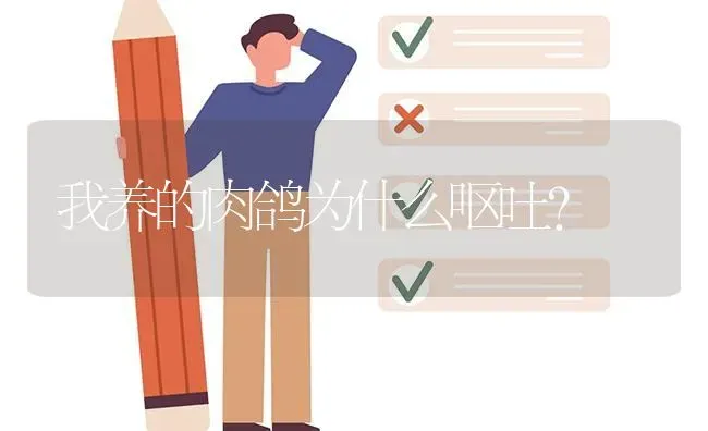 我养的肉鸽为什么呕吐? | 养殖问题解答