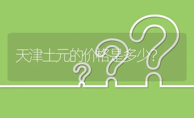 天津土元的价格是多少? | 养殖问题解答