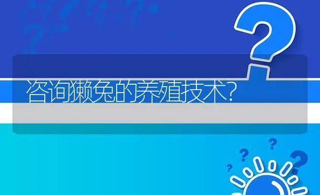 咨询獭兔的养殖技术? | 养殖问题解答