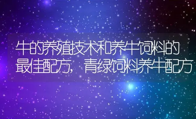 牛的养殖技术和养牛饲料的最佳配方,青绿饲料养牛配方 | 养殖常见问题