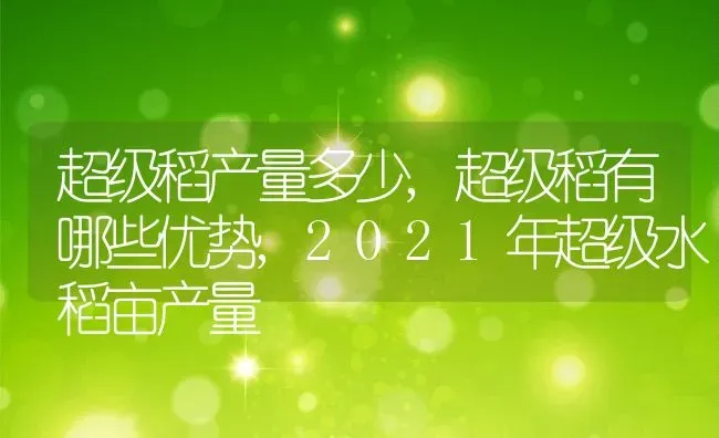 超级稻产量多少,超级稻有哪些优势,2021年超级水稻亩产量 | 养殖常见问题