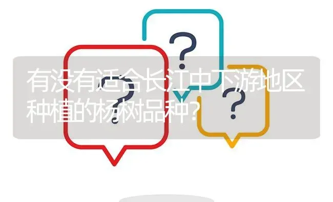 有没有适合长江中下游地区种植的杨树品种? | 养殖问题解答