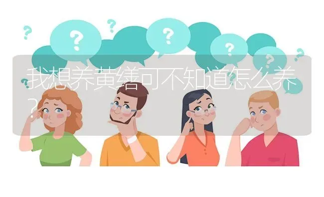 我想养黄缮可不知道怎么养? | 养殖问题解答