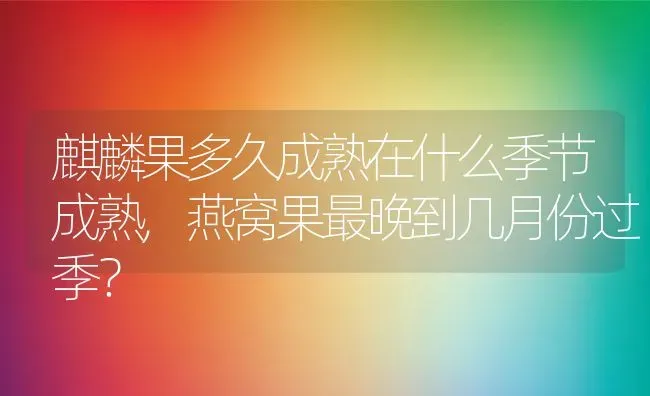 麒麟果多久成熟在什么季节成熟,燕窝果最晚到几月份过季？ | 养殖常见问题