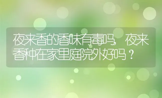 夜来香的香味有毒吗,夜来香种在家里庭院外好吗？ | 养殖常见问题