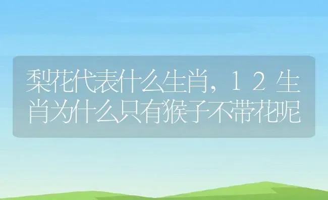 梨花代表什么生肖,12生肖为什么只有猴子不带花呢 | 养殖常见问题