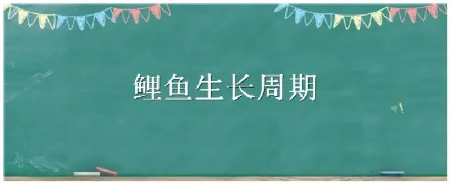 鲤鱼生长周期 | 农业问题