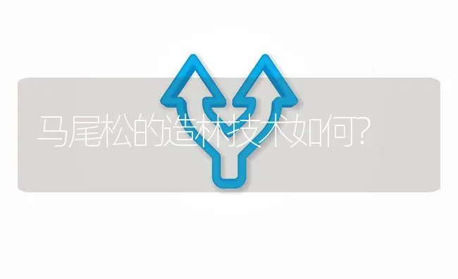 马尾松的造林技术如何? | 养殖问题解答