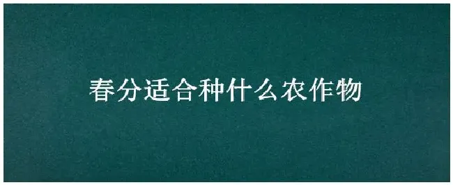 春分适合种什么农作物 | 三农问答