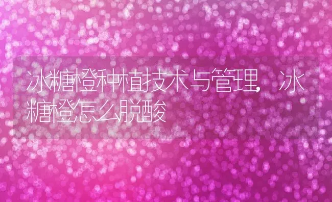 冰糖橙种植技术与管理,冰糖橙怎么脱酸 | 养殖常见问题
