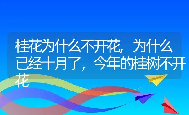 桂花为什么不开花,为什么已经十月了，今年的桂树不开花 | 养殖常见问题