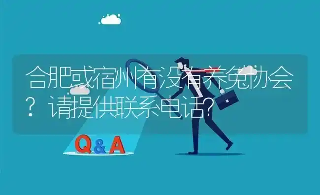 合肥或宿州有没有养兔协会?请提供联系电话? | 养殖问题解答