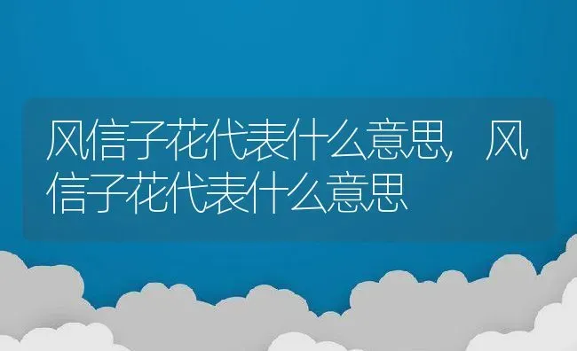 风信子花代表什么意思,风信子花代表什么意思 | 养殖常见问题