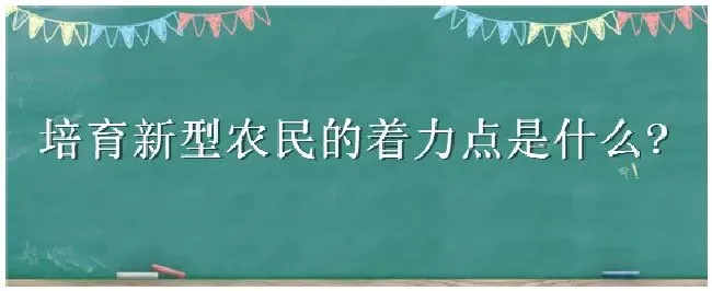 培育新型农民的着力点是什么 | 科普知识