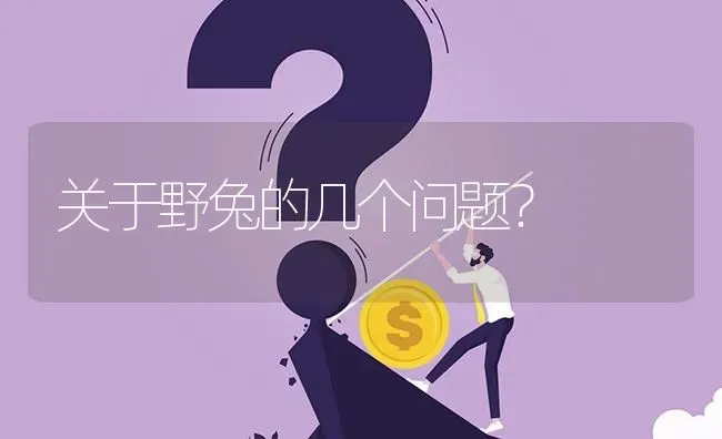 关于野兔的几个问题? | 养殖问题解答