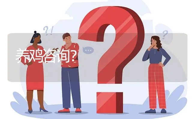 养鸡咨询? | 养殖问题解答