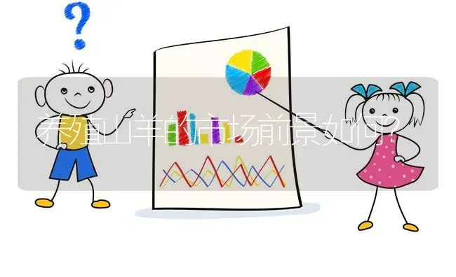 养殖山羊的市场前景如何? | 养殖问题解答