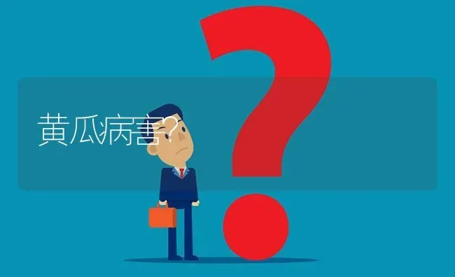 黄瓜病害? | 养殖问题解答