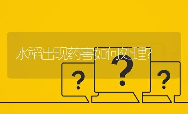 水稻出现药害如何处理? | 养殖问题解答