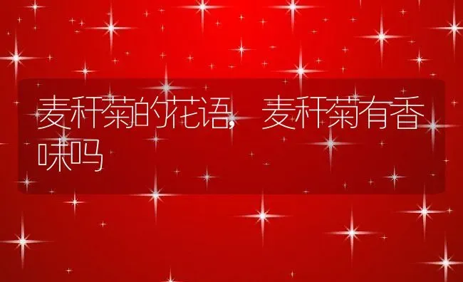 麦秆菊的花语,麦秆菊有香味吗 | 养殖常见问题