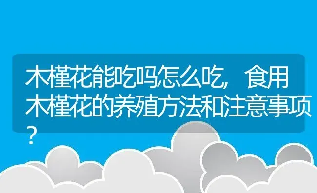 木槿花能吃吗怎么吃,食用木槿花的养殖方法和注意事项？ | 养殖常见问题