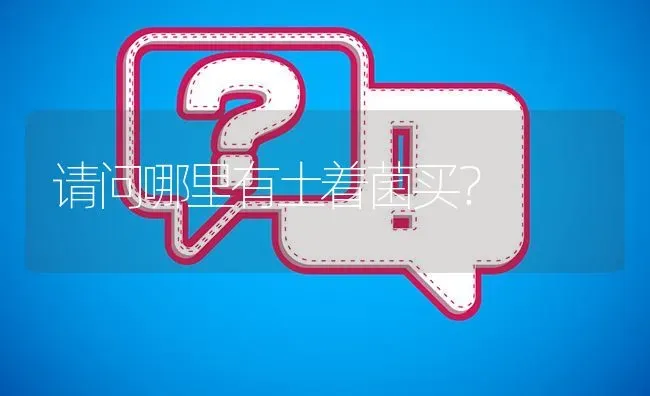 请问哪里有土着菌买? | 养殖问题解答