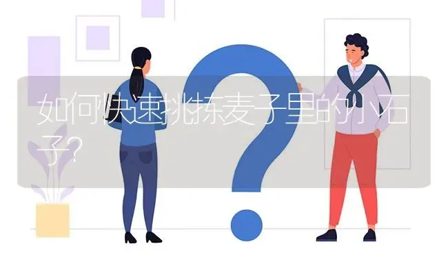 如何快速挑拣麦子里的小石子? | 养殖问题解答