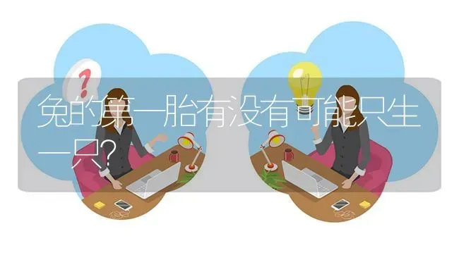 兔的第一胎有没有可能只生一只? | 养殖问题解答