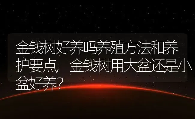 金钱树好养吗养殖方法和养护要点,金钱树用大盆还是小盆好养？ | 养殖常见问题