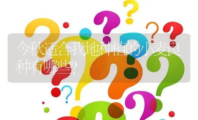 今秋适合我地种植的小麦良种有哪些? | 养殖问题解答