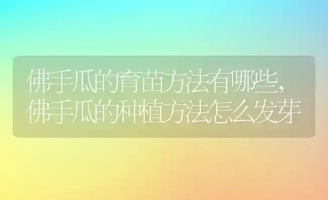 佛手瓜的育苗方法有哪些,佛手瓜的种植方法怎么发芽 | 养殖常见问题