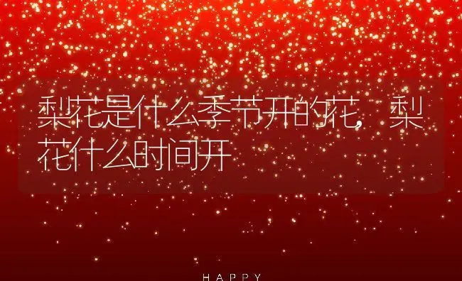 富贵竹能土养吗,竹子可以土养吗？ | 养殖常见问题