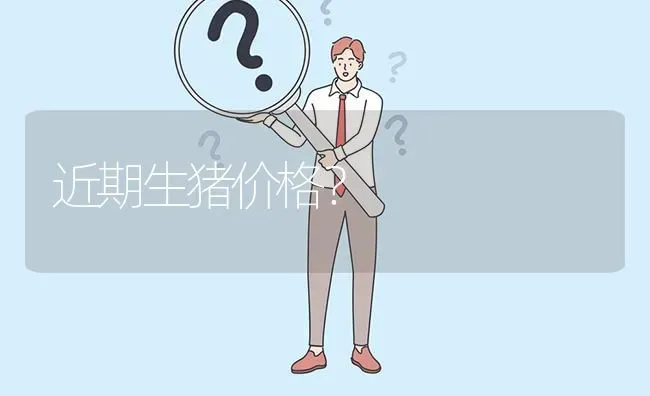 近期生猪价格? | 养殖问题解答