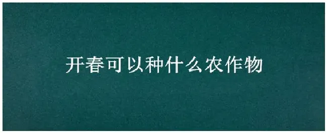 开春可以种什么农作物 | 三农问答