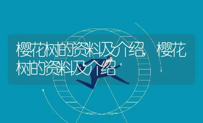 樱花树的资料及介绍,樱花树的资料及介绍 | 养殖常见问题