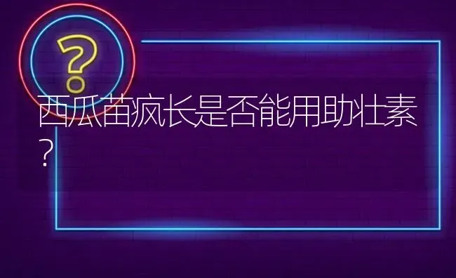 西瓜苗疯长是否能用助壮素? | 养殖问题解答