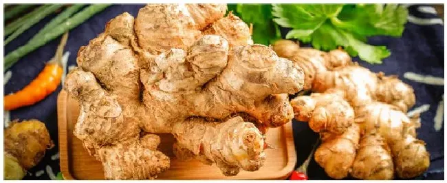 黄姜的种植技术和管理 | 农业问题