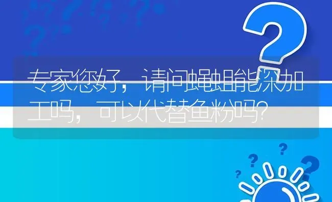 专家您好,请问蝇蛆能深加工吗,可以代替鱼粉吗? | 养殖问题解答
