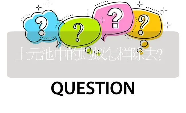 土元池中的蚂蚁怎样除去? | 养殖问题解答