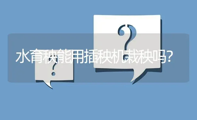 水育秧能用插秧机栽秧吗? | 养殖问题解答