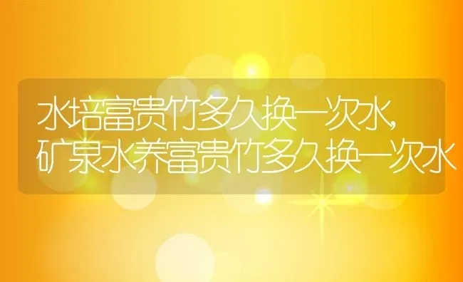 水培富贵竹多久换一次水,矿泉水养富贵竹多久换一次水 | 养殖常见问题