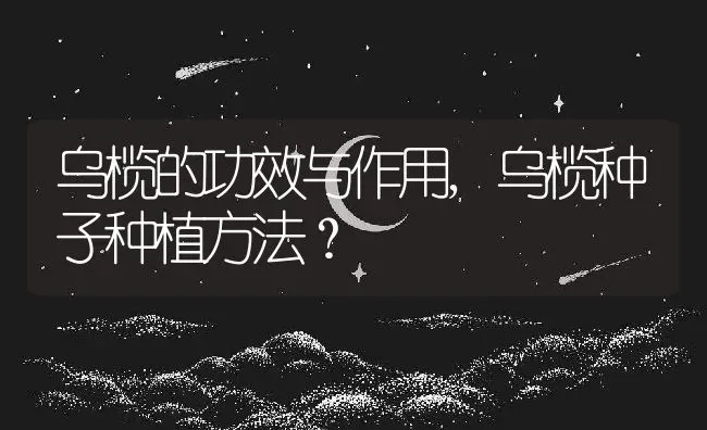 乌榄的功效与作用,乌榄种子种植方法？ | 养殖常见问题