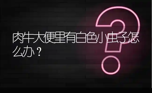 肉牛大便里有白色小虫子怎么办? | 养殖问题解答