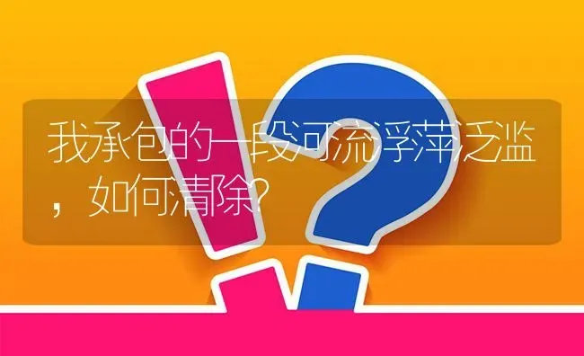 我承包的一段河流浮萍泛滥,如何清除? | 养殖问题解答